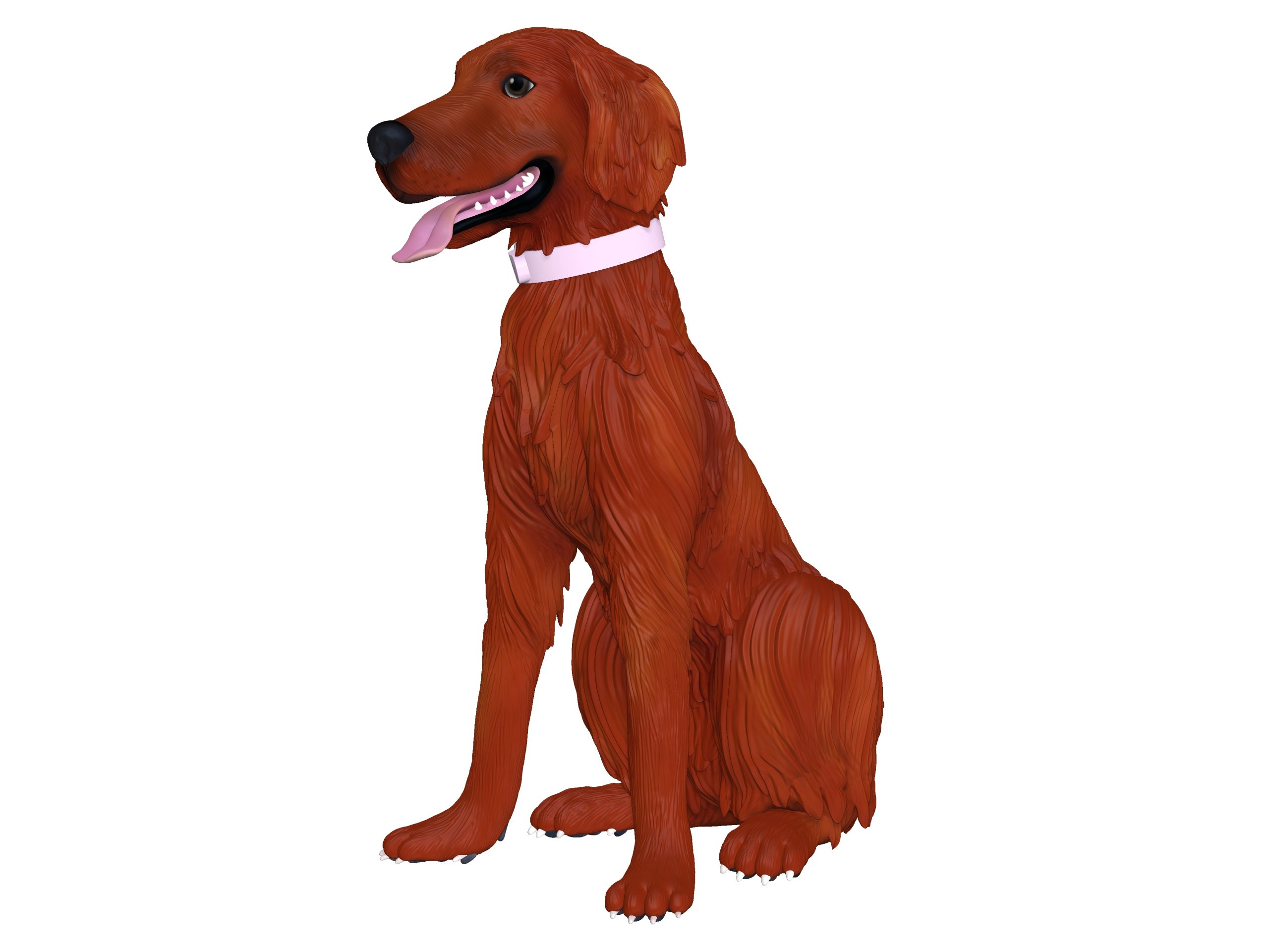 アイリッシュセッター アイリッシュセッター